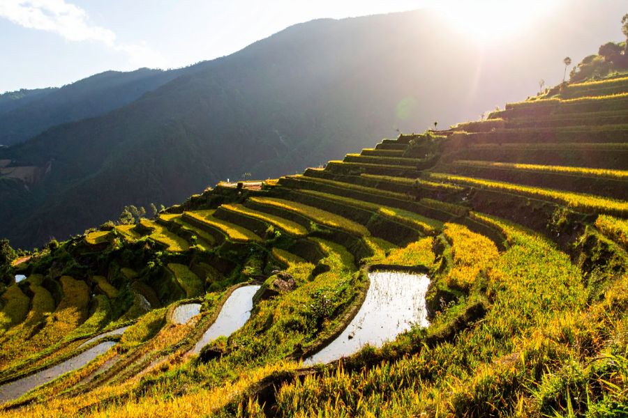 L'Été (mai - août) - Sapa verdoyante au cœur des montagnes du Nord-Ouest