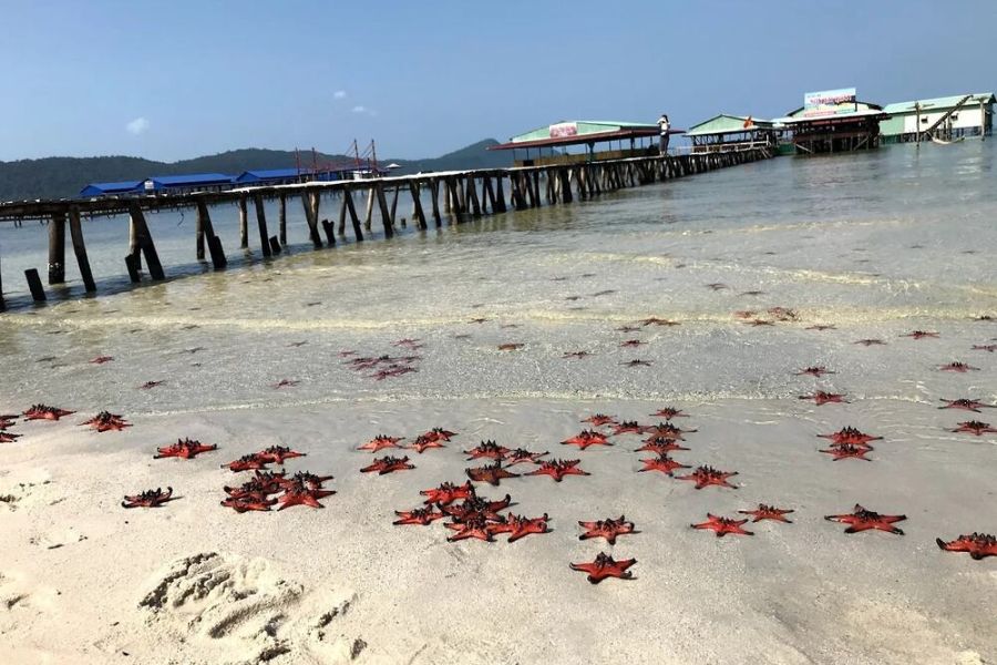 La plage de Rach Vem - Sauvage et originelle