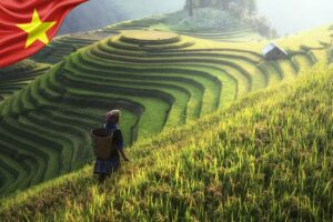 Circuit au Vietnam 10 jours exploration des points forts du pays