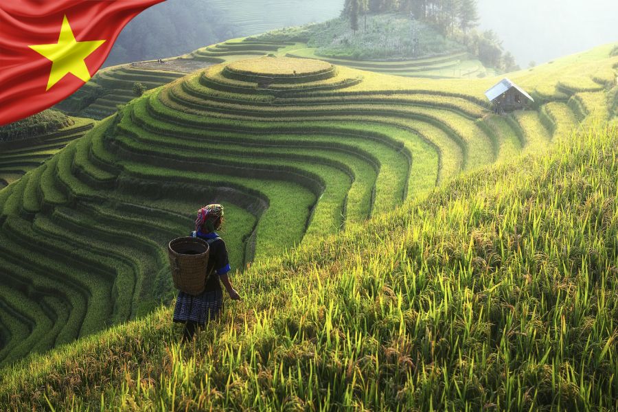 Circuit au Vietnam 10 jours exploration des points forts du pays