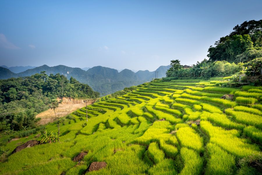 Vietnam hors des sentiers battus: une découverte authentique et enrichissante